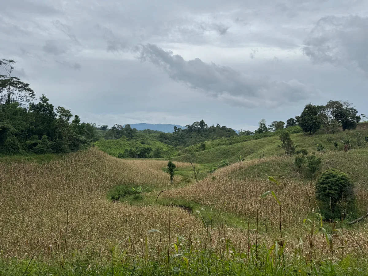 Inmitten der Idylle sollen auf der Farm auch Time-out-Plätze für Kinder in Krisensituationen geschaffen werden. Aussicht über Felder der Farm.